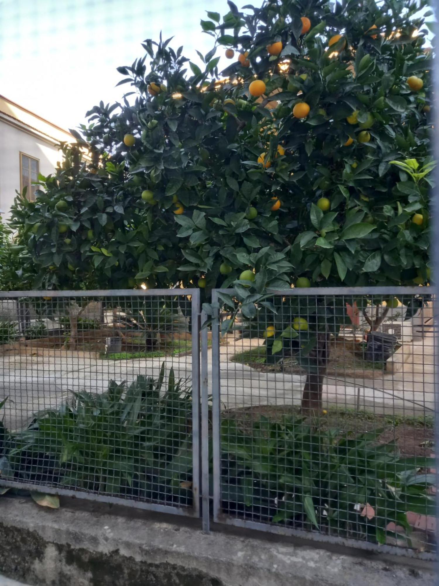 Villa Momenti E Monumenti Palermo Exterior foto